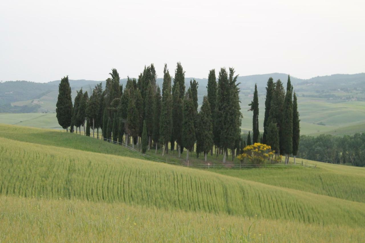 Agriturismo Cantagalli San Quirico d'Orcia Exterior photo